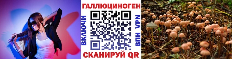 KRAKEN tor  площадка Telegram  Галлюциногенные грибы MAGIC MUSHROOMS  Пересвет 